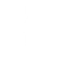Bayer
